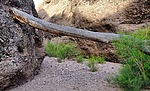 photo thumbnail #3