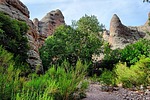 photo thumbnail #7