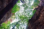 photo thumbnail #13
