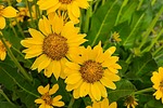 photo thumbnail #10