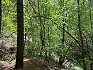 photo thumbnail #6