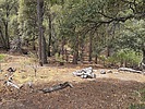 photo thumbnail #10