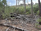 photo thumbnail #15
