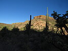 photo thumbnail #7