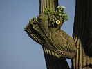 photo thumbnail #1