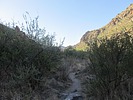 photo thumbnail #6