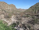 photo thumbnail #12
