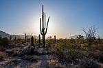 photo thumbnail #6
