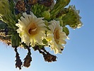 photo thumbnail #9