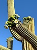 photo thumbnail #15