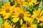 photo thumbnail #2