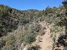 photo thumbnail #4