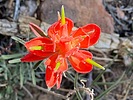 photo thumbnail #14