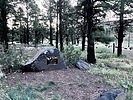 photo thumbnail #3