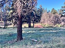 photo thumbnail #14