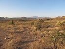 photo thumbnail #5