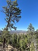 photo thumbnail #4