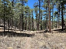 photo thumbnail #7