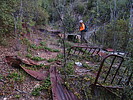 photo thumbnail #6