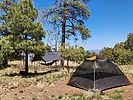 2025-05-21 :2: Mingus Mountain Campground :: cactuscat