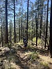 photo thumbnail #2