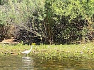 2025-05-24 :: Lower Salt River - Waterusers to PhonD :: DesertNymph