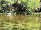 photo thumbnail #9