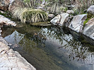 Featured Full Photo