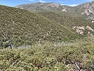 photo thumbnail #14