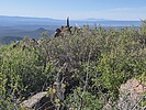 2025-05-28 :: Mount Floyd :: DixieFlyer