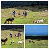 photo thumbnail #11