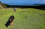 photo thumbnail #12