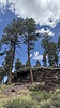 photo thumbnail #12