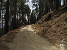 photo thumbnail #12