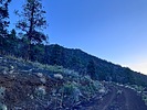 photo thumbnail #7