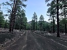 photo thumbnail #3