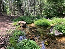 photo thumbnail #7