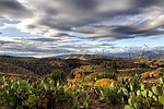 photo thumbnail #12