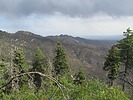 photo thumbnail #1