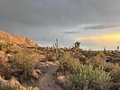 photo thumbnail #7