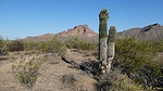 photo thumbnail #1