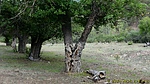 photo thumbnail #8