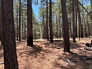 photo thumbnail #11