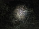 photo thumbnail #13