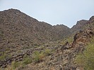 photo thumbnail #15