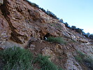 photo thumbnail #8