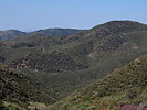 photo thumbnail #13