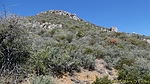 photo thumbnail #15