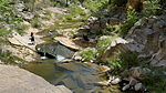 photo thumbnail #11