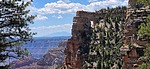 2025-06-07 :1: Grand Canyon - North Rim :: The_Eagle